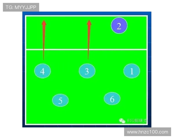 排球盛宴:深入解析上海排球队的战术与技术精髓